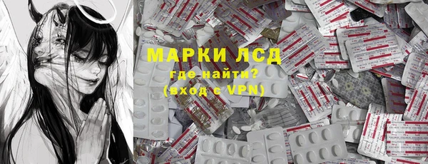 шишки Карпинск