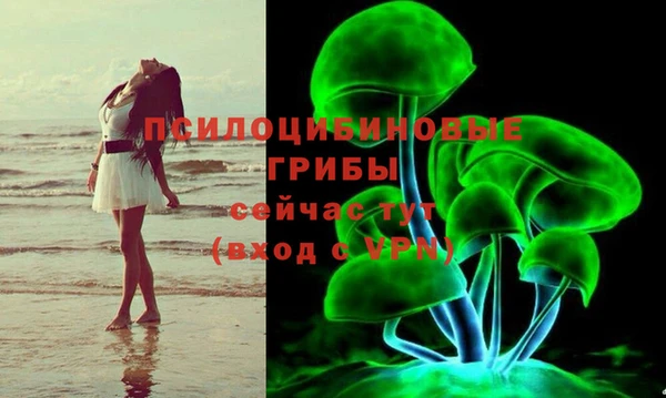 шишки Карпинск