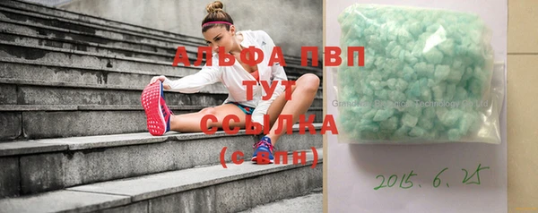 шишки Карпинск
