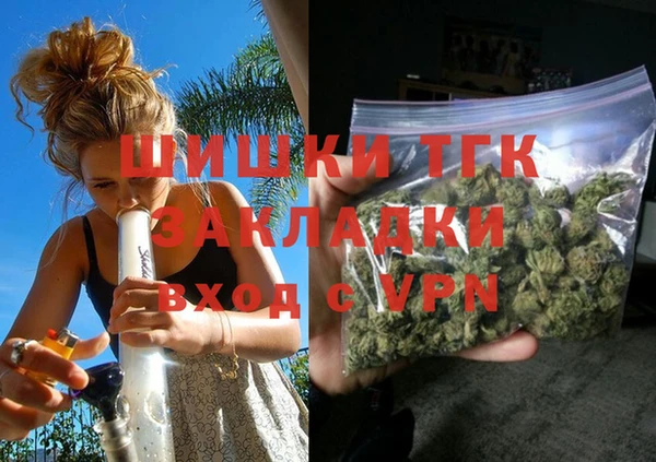 шишки Карпинск