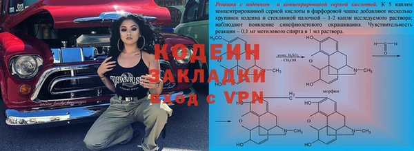шишки Карпинск