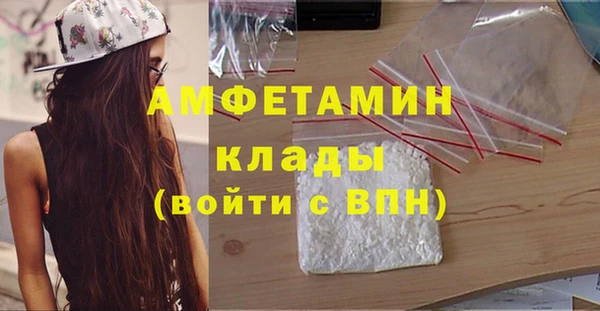 шишки Карпинск