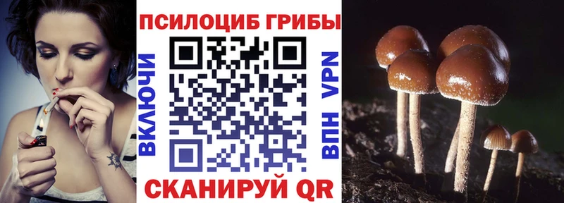 Галлюциногенные грибы Magic Shrooms  Купить закладки  Омутнинск 