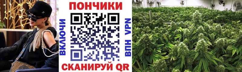 Марихуана OG Kush  Купить закладки  Омутнинск 